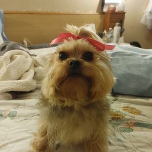 Meet your Posher, Sandra